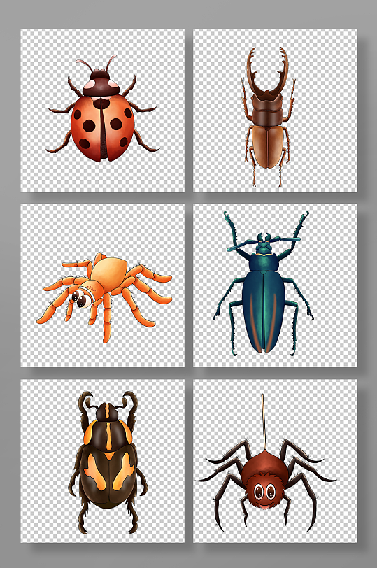 昆虫聚会ppt-昆虫聚会ppt素材-昆虫聚会ppt模板下载-众图网