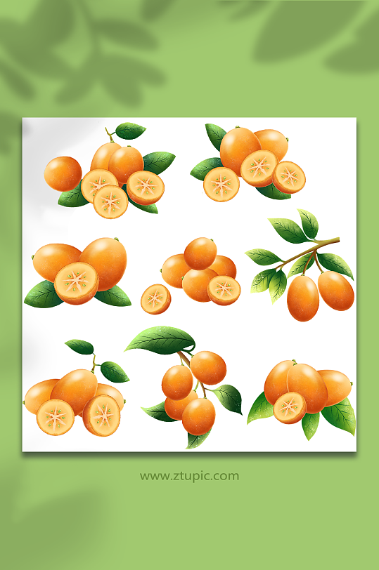 手绘金黄金桔冬季水果元素插画-众图网