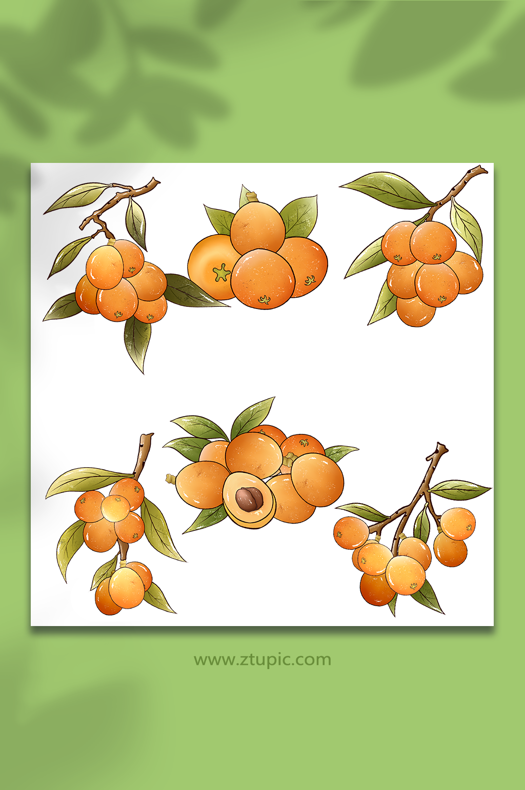 手绘枇杷水果元素插画素材