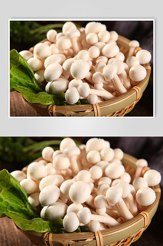 美味白玉菇火锅美食菜品摄影图片