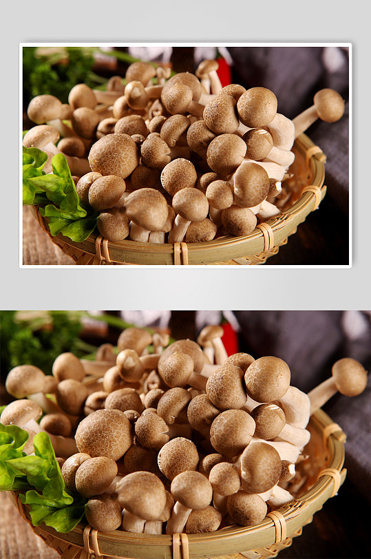 蟹味菇火锅美食菜品摄影图片