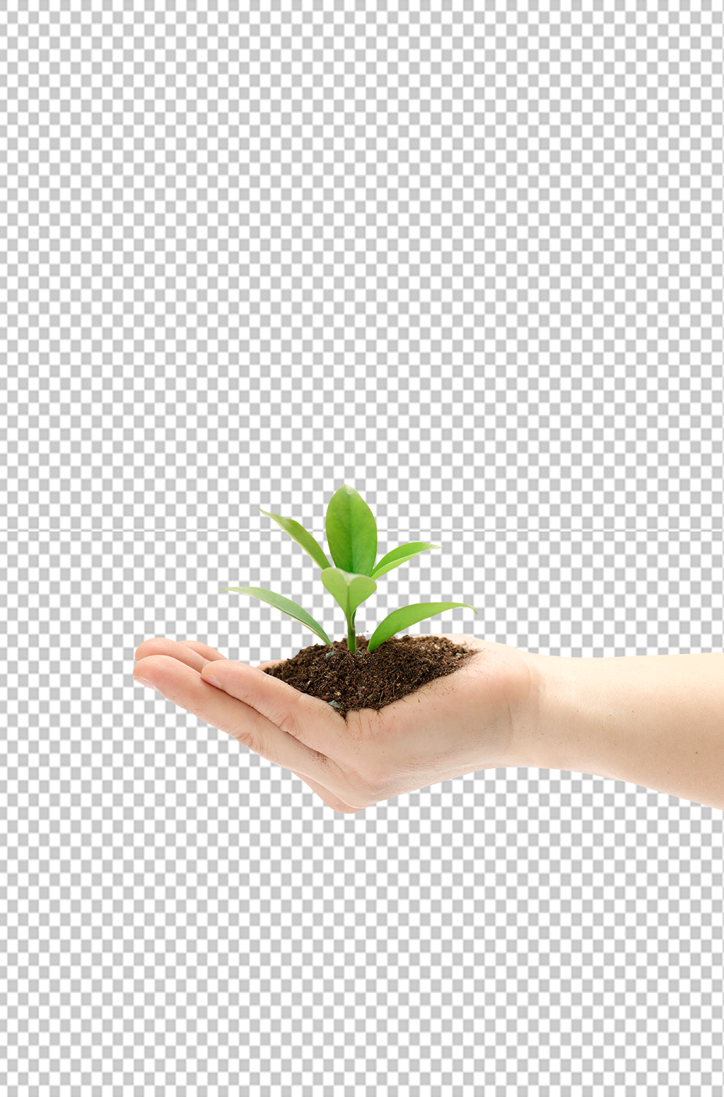 泥土播种树苗植树节物品png摄影图素材