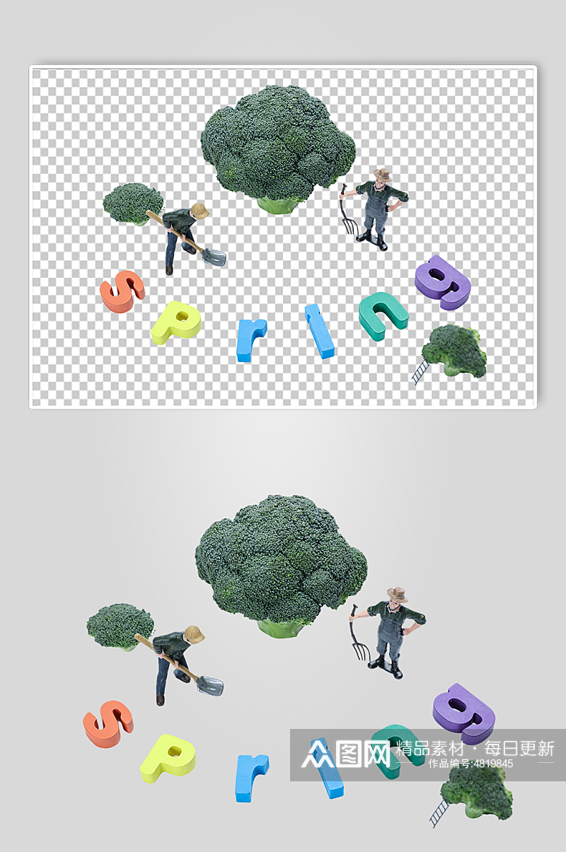创意花菜大树植树节物品png摄影图素材