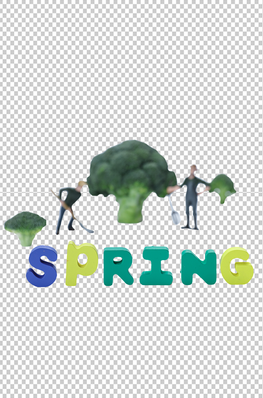 春天创意播种植树节物品png摄影图素材