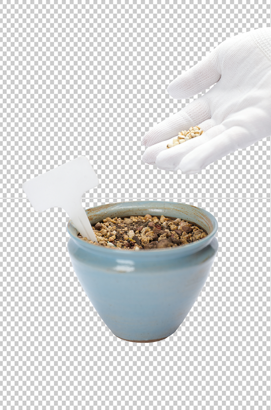 盆栽播种种子植树节物品png摄影图素材