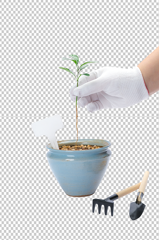 播种小树苗发芽盆栽植树节物品png摄影图