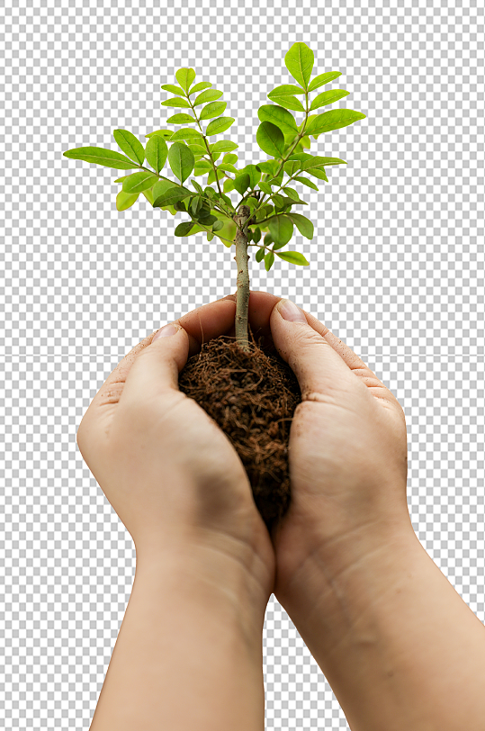 手捧泥土播种树芽植树节物品png摄影图