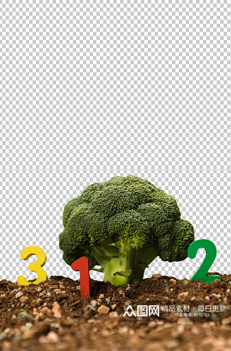 创意312花菜大树植树节物品png摄影图素材