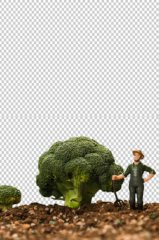 创意花菜大树植树节物品png摄影图