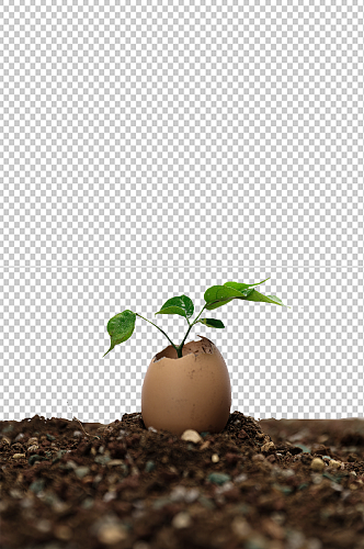树芽破壳土壤植树节物品png摄影图