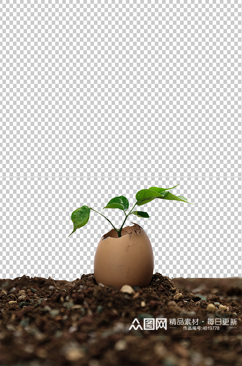 树芽破壳土壤植树节物品png摄影图素材