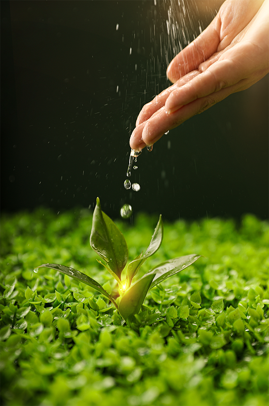 清新春天树苗浇水环保合成精修摄影图-众图网