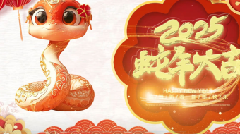 2025大气蛇年贺岁新年春节AE视频模板-众图网