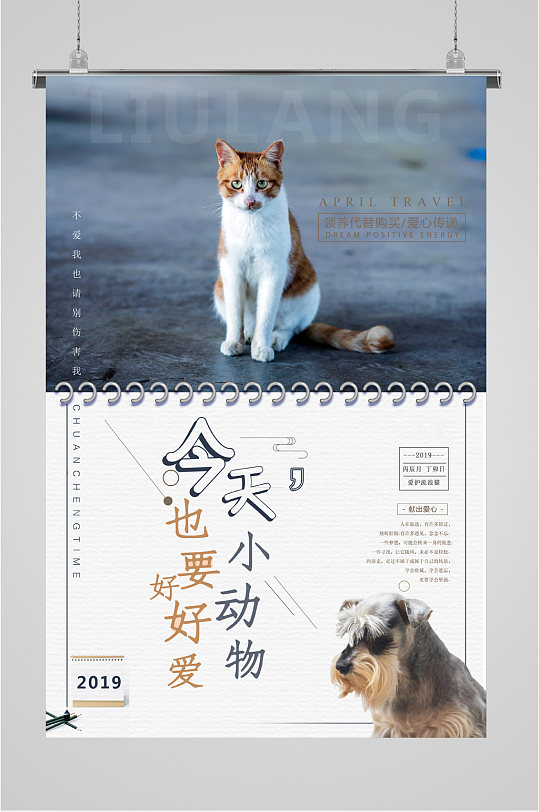 保护小动物爱护动物海报