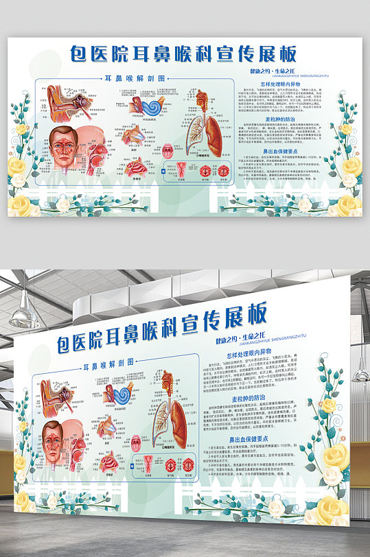 耳鼻喉科宣传展板栏