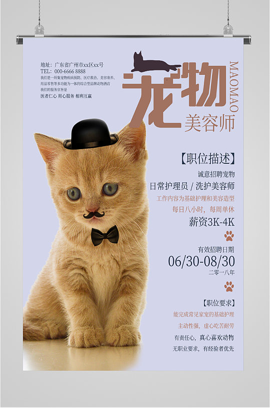 宠物美容师招聘海报