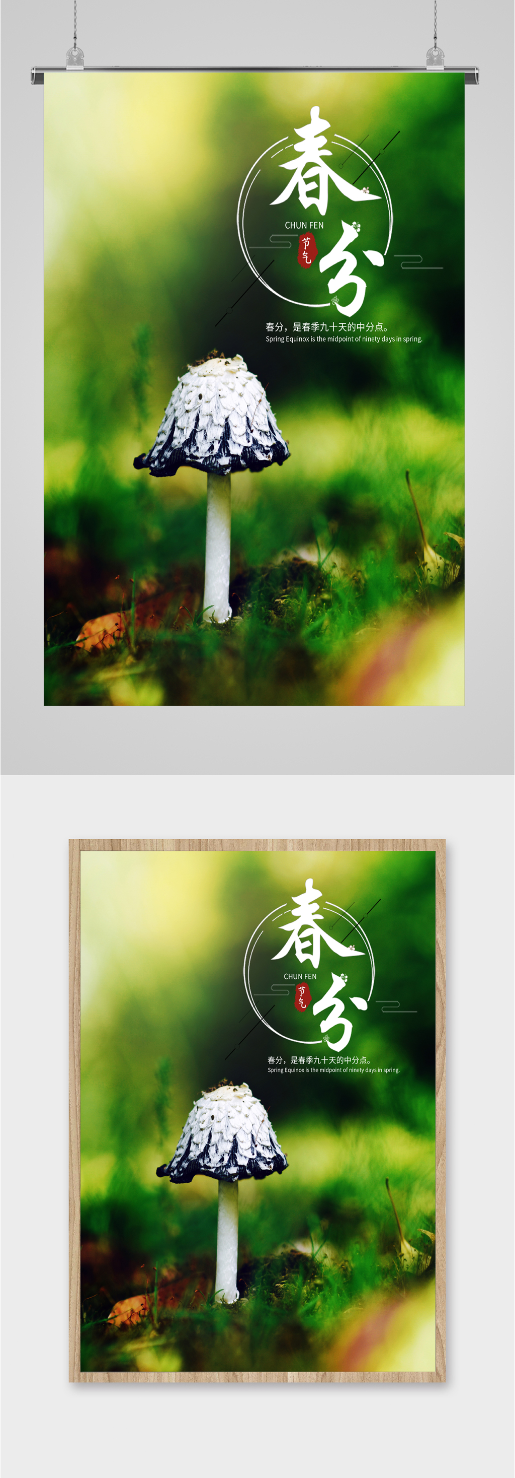 春分绿色背景植物海报素材