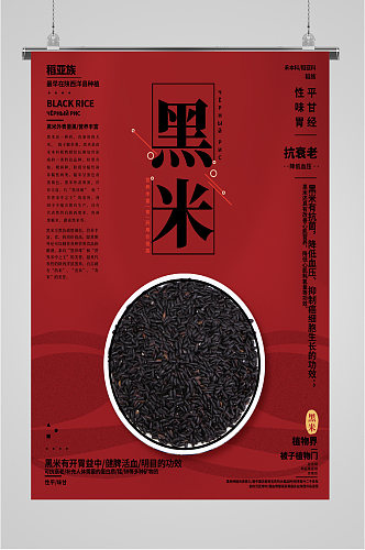 植物黑米传统食物海报