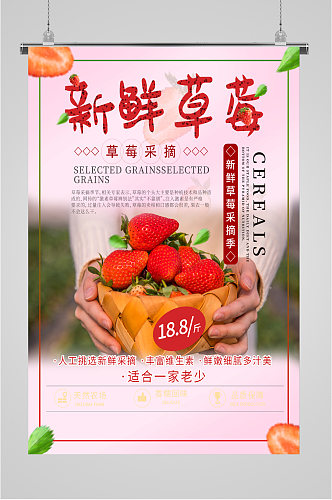 新鲜草莓采摘季海报