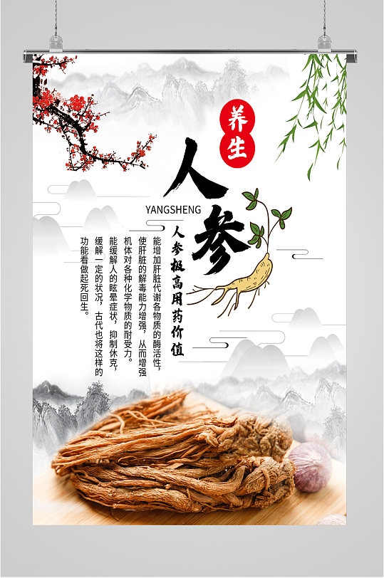 养生健康人参海报