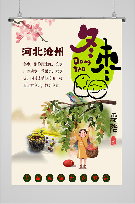 河北沧州冬枣海报