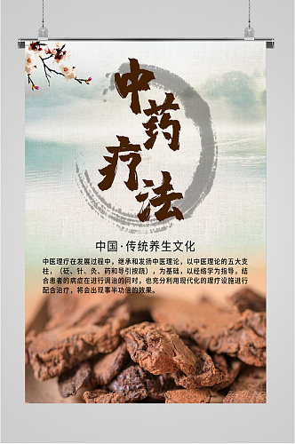 传统文化中医养生海报