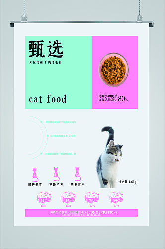 甄选天然猫粮猫咪食物海报