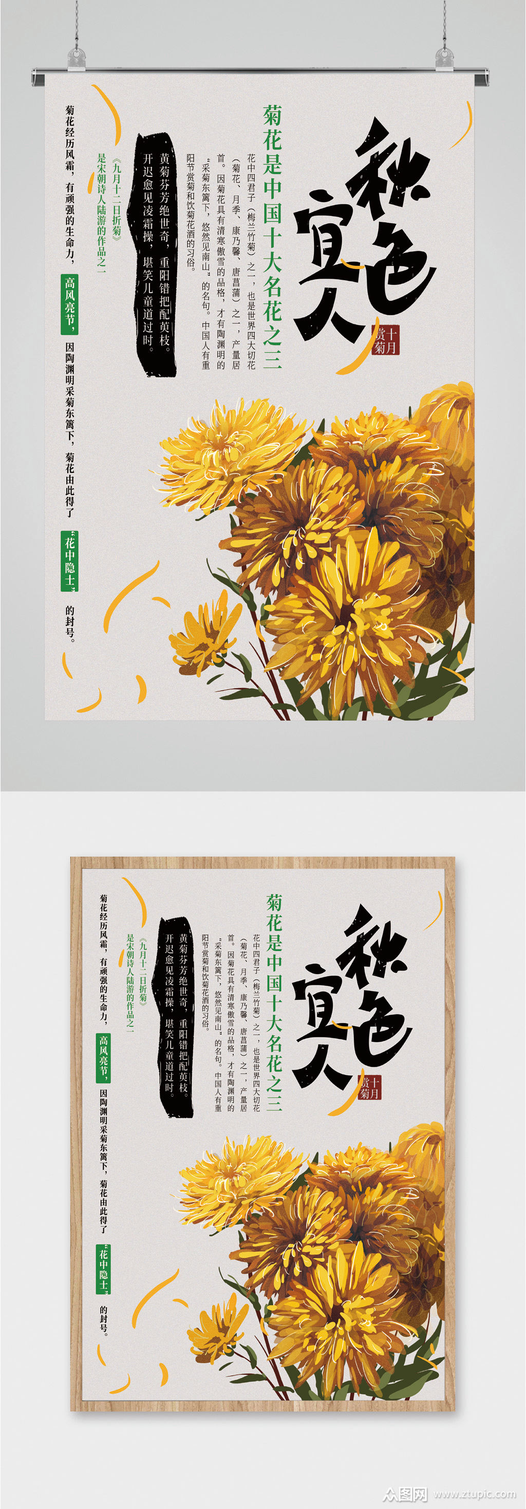 秋色宜人菊花介绍海报