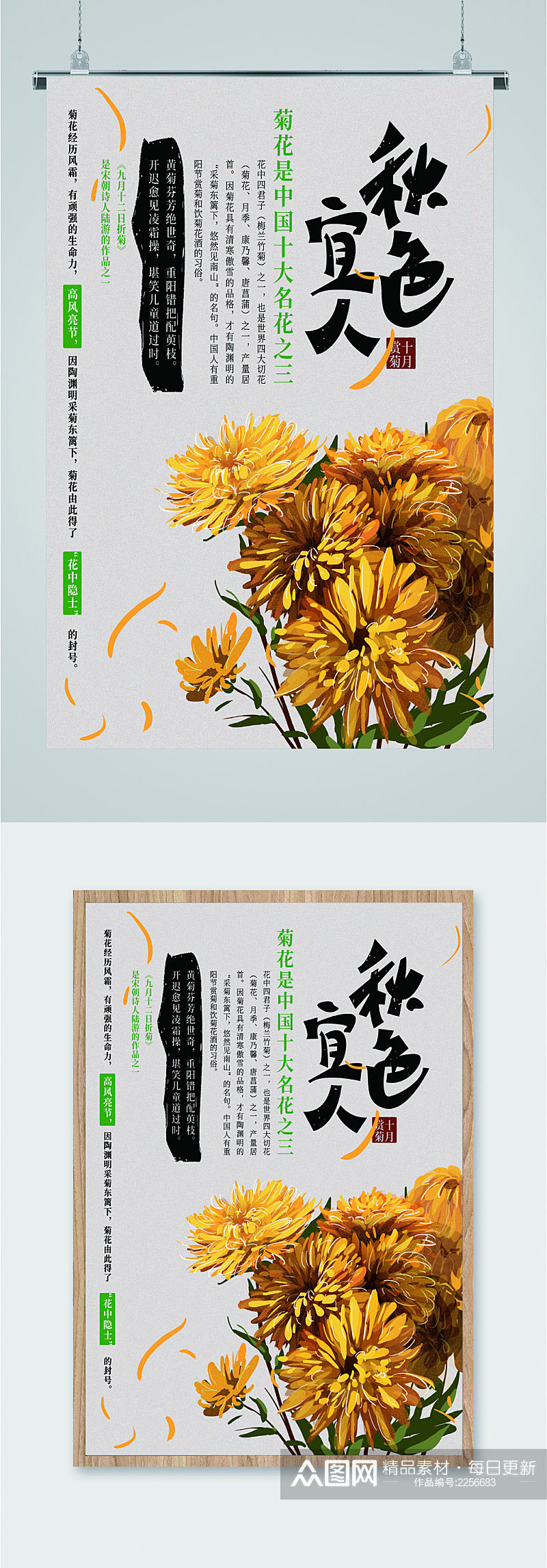 秋色宜人菊花介绍海报素材