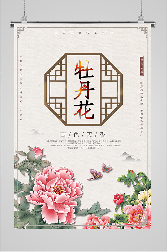 牡丹花国色天香海报