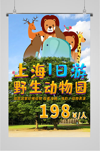 上海一日游野生动物园海报