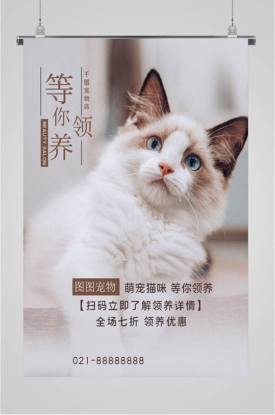 宠物猫海报图片-宠物猫海报设计素材-宠物猫海报模板下载-众图网