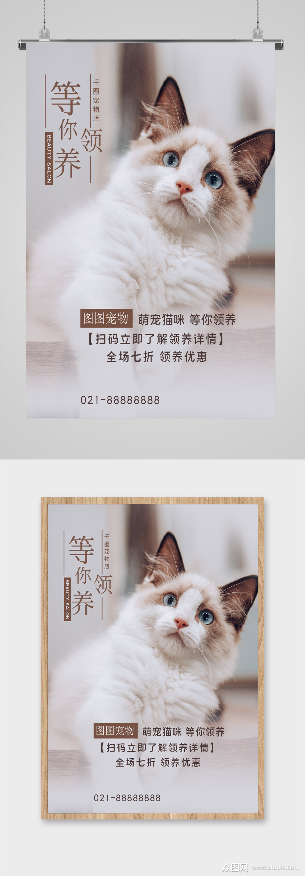 宠物猫咪领养优惠海报