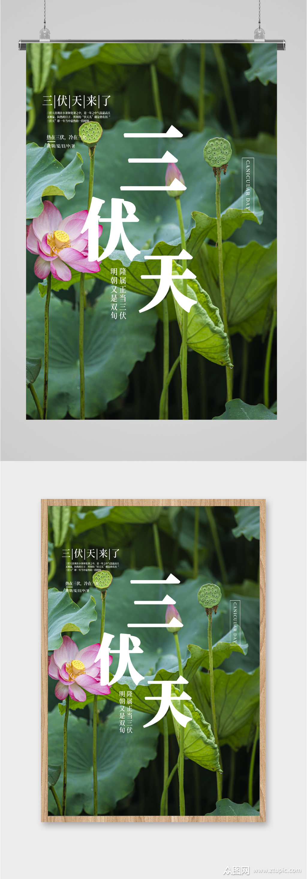 夏日炎热三伏天海报