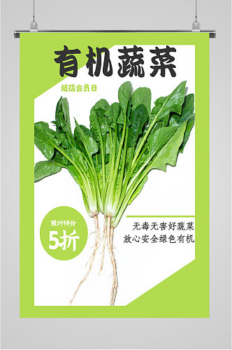 有机新鲜蔬菜海报