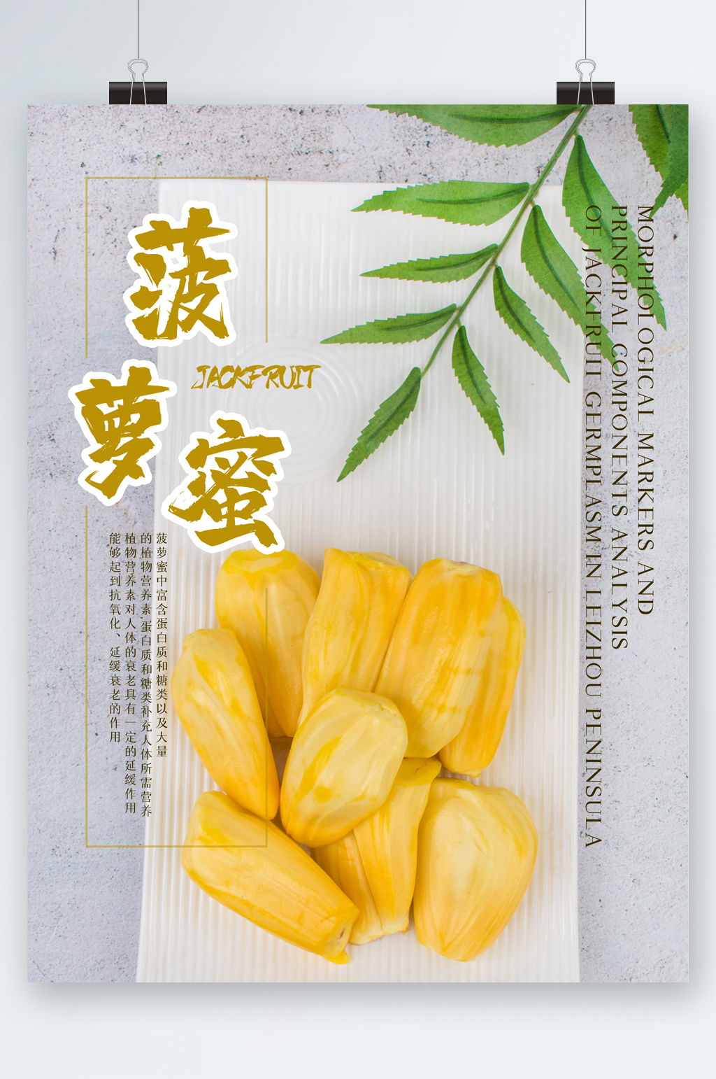 菠萝蜜广告标语图片