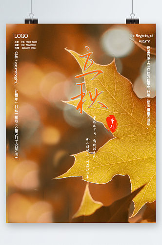 立秋枫叶背景海报