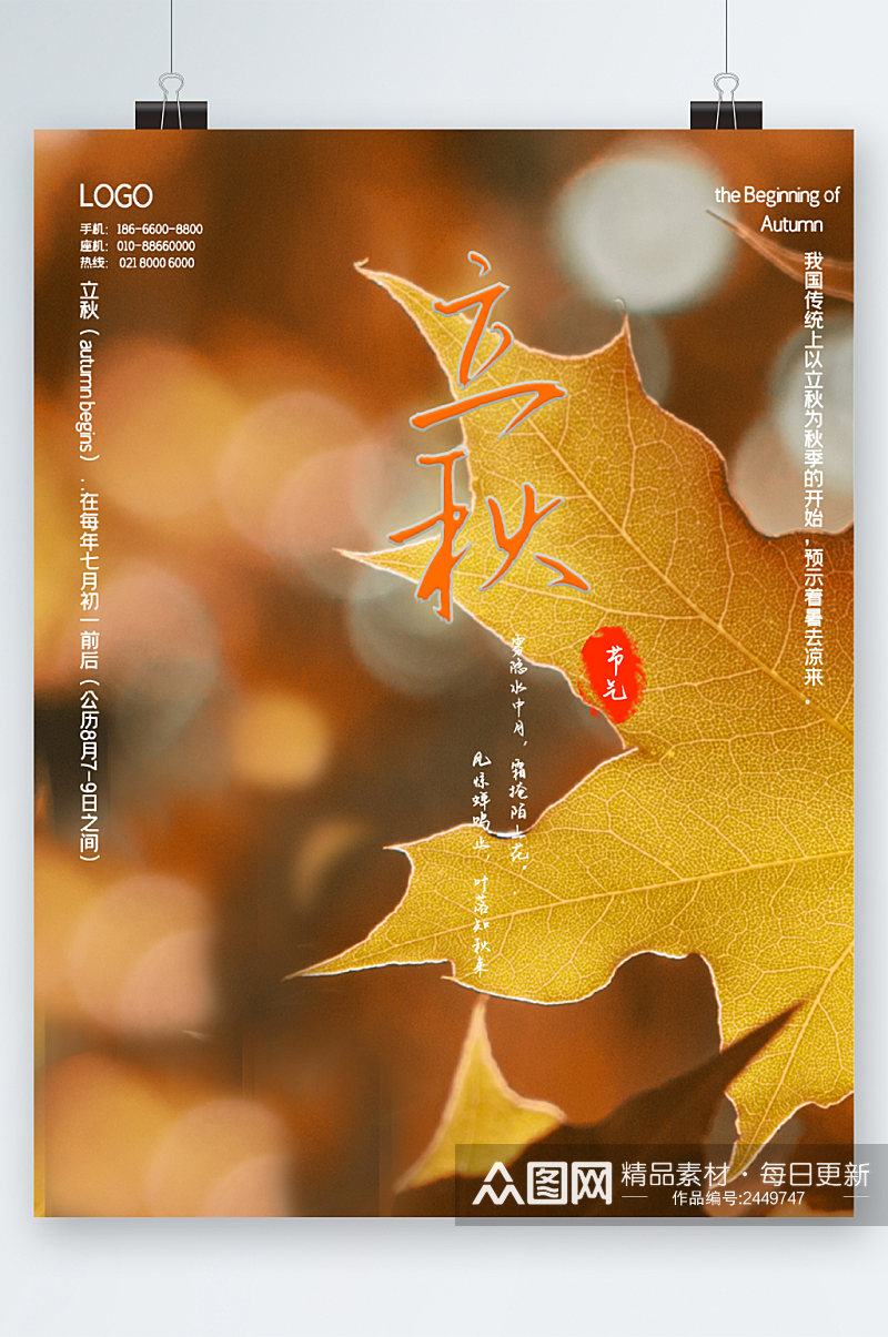 立秋枫叶背景海报素材