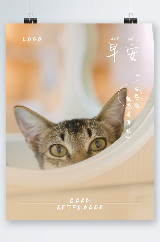 早安可爱猫咪海报
