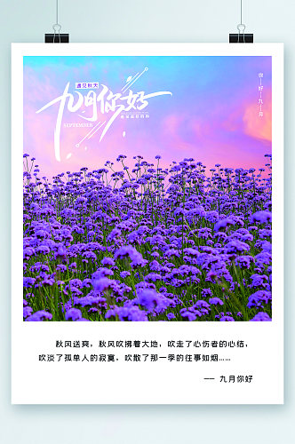 九月你好紫色雏菊海报