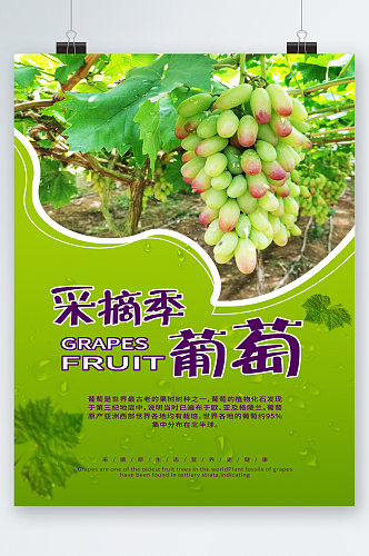 采摘季葡萄新鲜水果海报