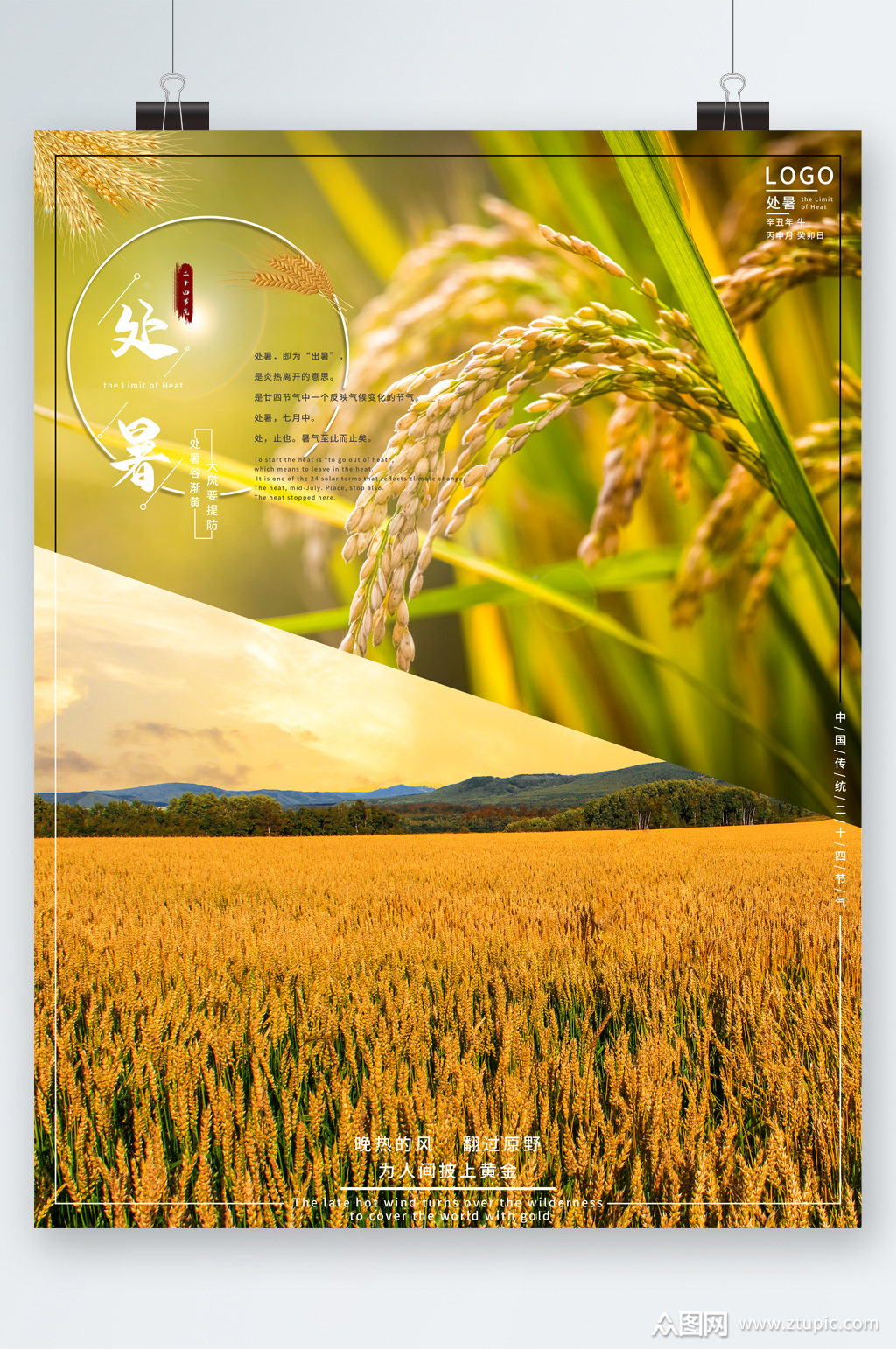 处暑稻谷背景海报