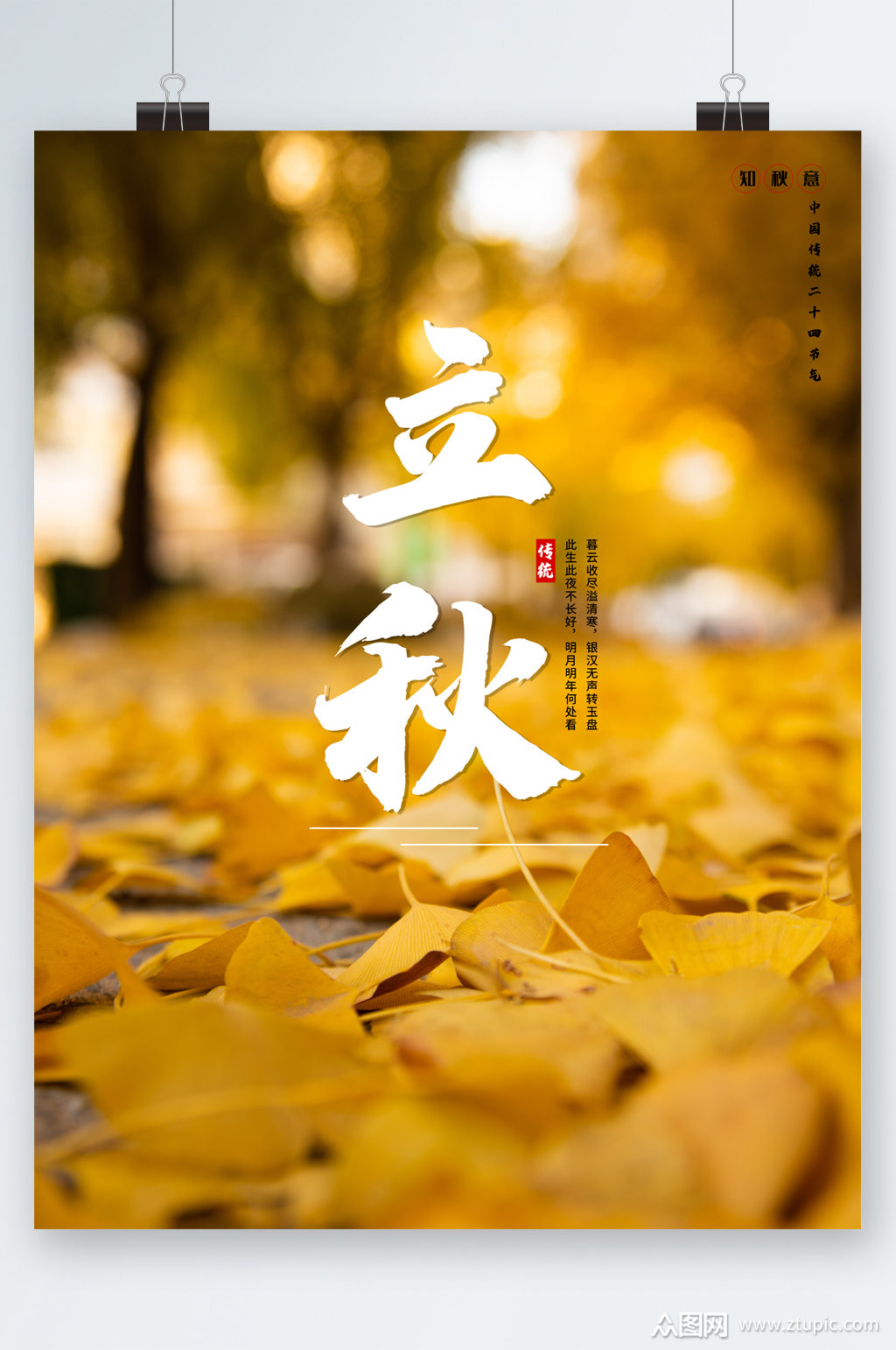 立秋银杏叶落叶海报