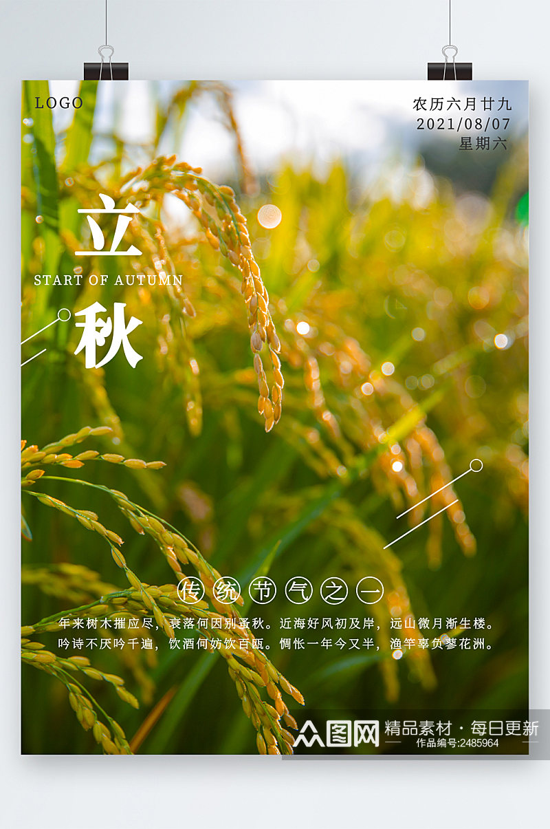 立秋稻谷背景农作物节气海报素材