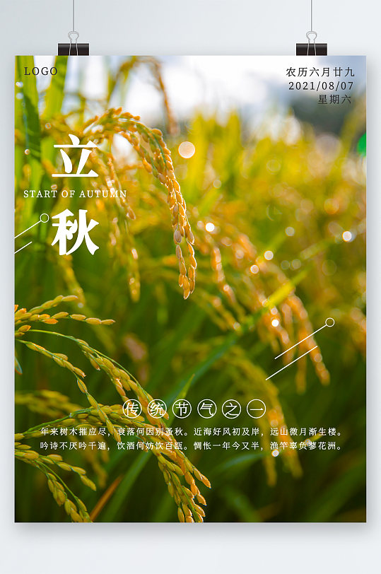 立秋稻谷背景农作物节气海报