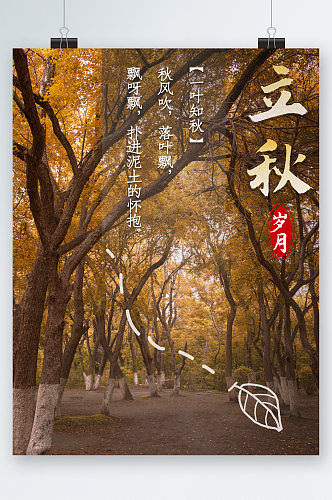 立秋树林背景海报