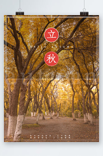 立秋树林背景海报