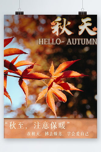秋天注意保暖树叶海报