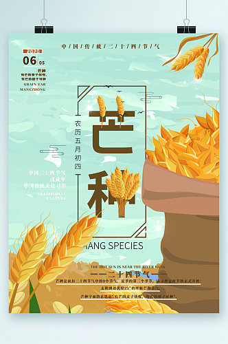芒种24节气小麦插画海报