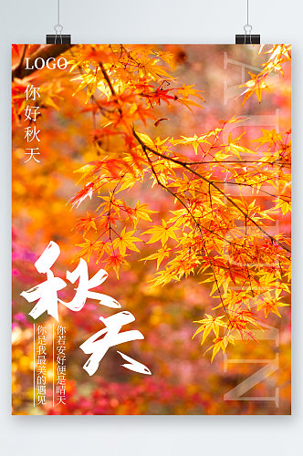 秋天枫叶树林海报